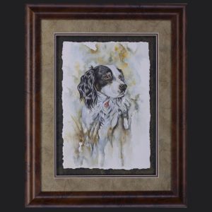 Sobe – English Setter