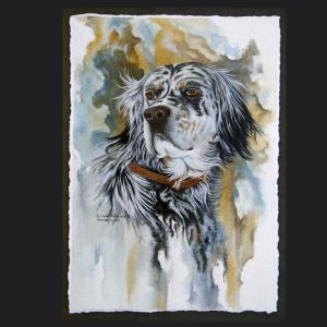 Bonne - English Setter