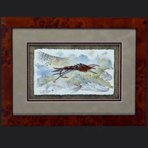 Brown Stonefly & Brown Trout