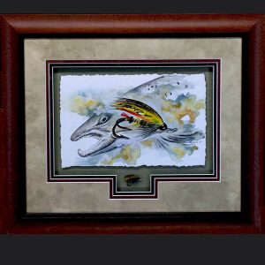 " Atlantic Salmon with Hardy Bros fly -  #2"